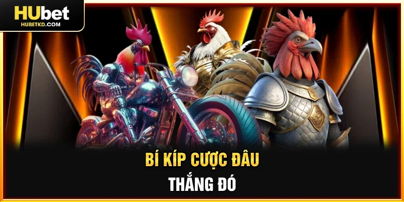 Bí kíp cược đâu thắng đó