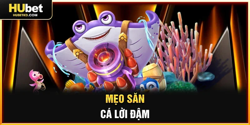 Mẹo săn cá lời đậm