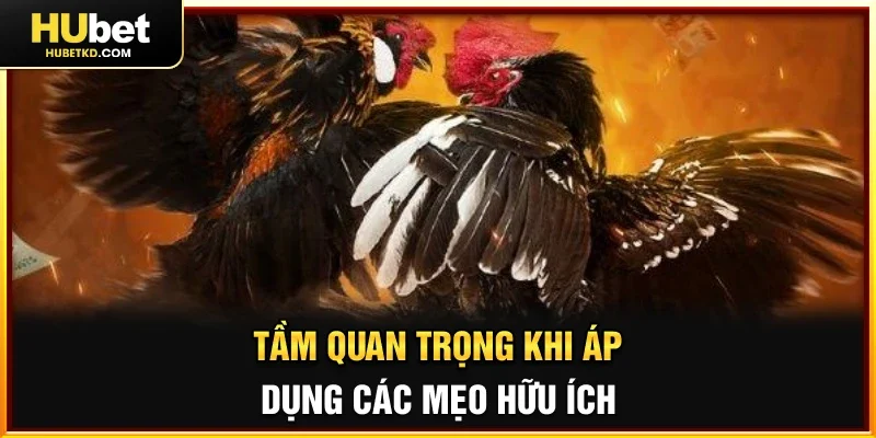 Tầm quan trọng khi áp dụng các mẹo hữu ích này