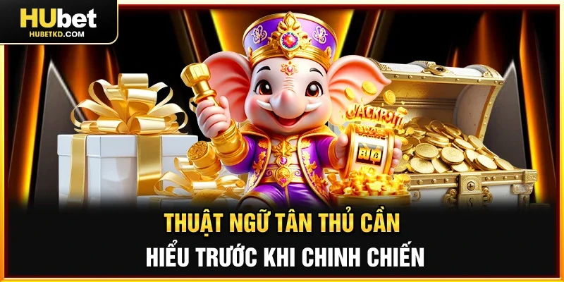 Thuật ngữ tân thủ cần hiểu trước khi chinh chiến