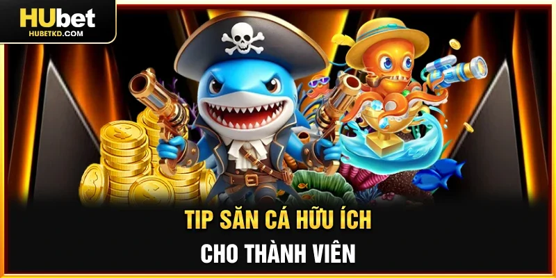 Tip săn cá hữu ích cho thành viên